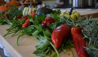 Catering sector ‘leading the way’ in organic market – Soil Association report finds