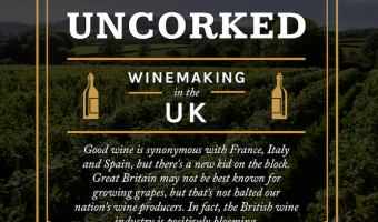 Sykes Cottages infographic details flourishing British wine industry