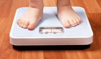 Campaigners call for children to undergo yearly 'obesity MOTs'