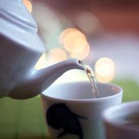 Tea sales, Allegra, world coffee portal, images