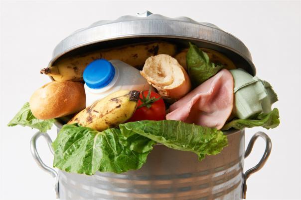 UK companies unite in open letter urging Government to tackle food waste 
