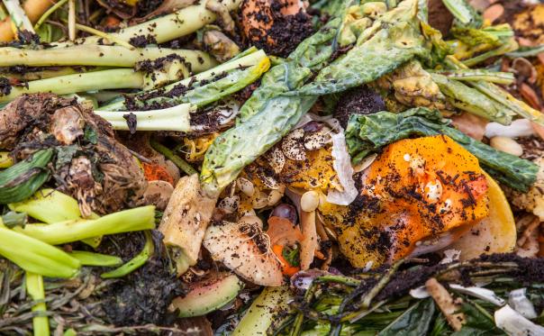 UK food waste policy conference
